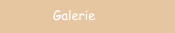 Galerie